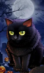 Spooky Halloween